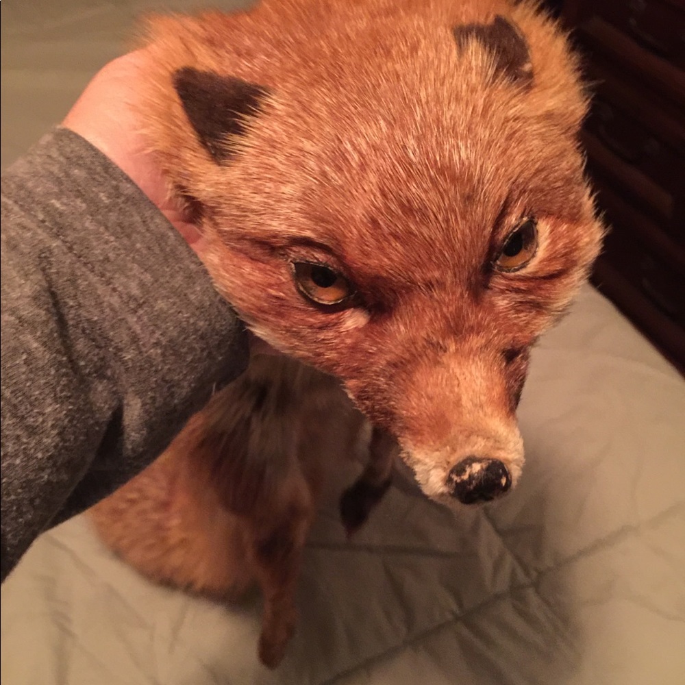 Vintage fox collar